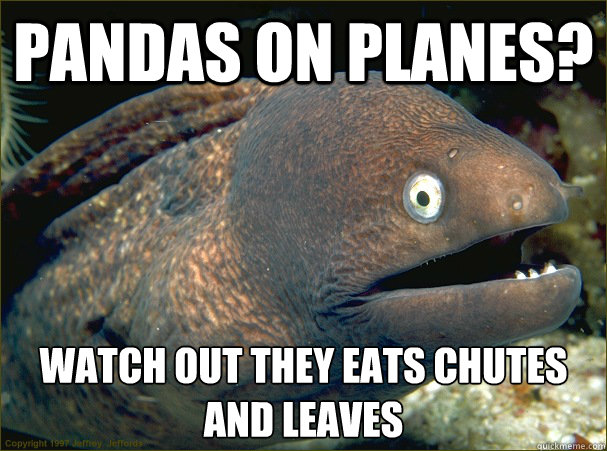 pandas on planes? watch out they eats chutes and leaves  Bad Joke Eel