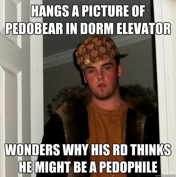 Hangs a picture of Pedobear in Dorm Elevator Wonders why his RD thinks he might be a pedophile  Scumbag Steve