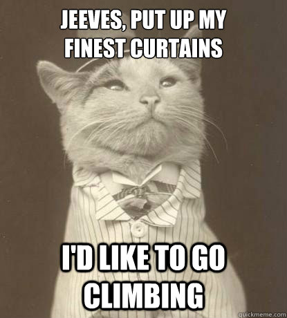 Jeeves, put up my 
finest curtains I'd like to go climbing  Aristocat