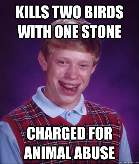 Kills two birds with one stone  Charged for animal abuse  Bad Luck Brian