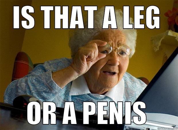 IS THAT A LEG OR A PENIS Grandma finds the Internet