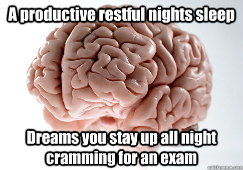 A productive restful nights sleep Dreams you stay up all night cramming for an exam   Scumbag Brain