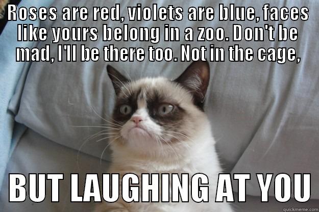 ROSES ARE RED, VIOLETS ARE BLUE, FACES LIKE YOURS BELONG IN A ZOO. DON'T BE MAD, I'LL BE THERE TOO. NOT IN THE CAGE,   BUT LAUGHING AT YOU Grumpy Cat