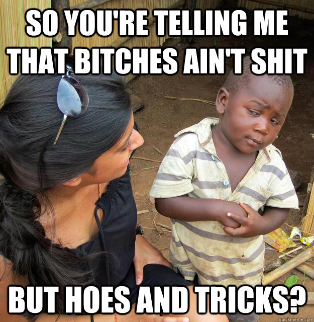 So you're telling me that bitches ain't shit but hoes and tricks?  Skeptical Third World Child