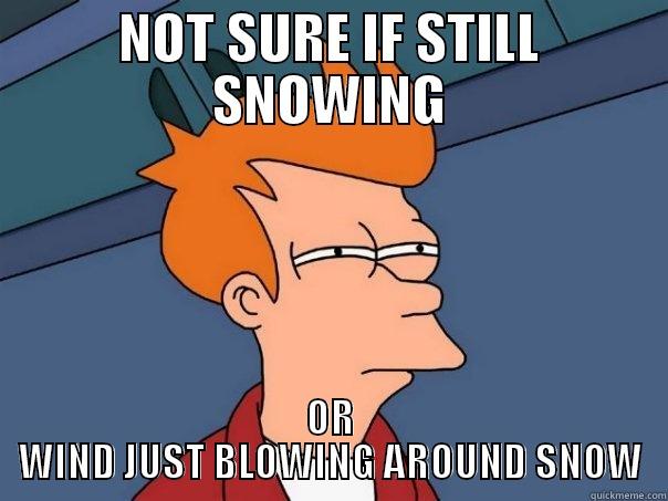 NOT SURE IF STILL SNOWING OR WIND JUST BLOWING AROUND SNOW Futurama Fry