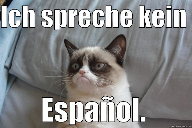 ICH SPRECHE KEIN  ESPAÑOL. Grumpy Cat