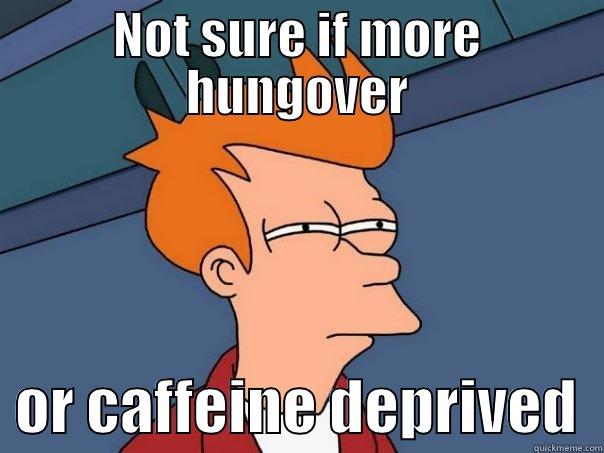 NOT SURE IF MORE HUNGOVER   OR CAFFEINE DEPRIVED  Futurama Fry