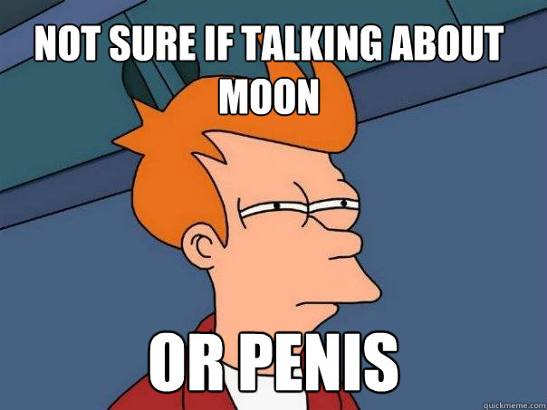 Not sure if talking about moon or penis  Futurama Fry