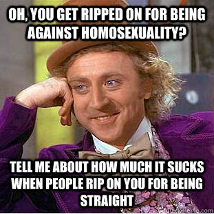 oh, you get ripped on for being against homosexuality? tell me about how much it sucks when people rip on you for being straight  Condescending Wonka