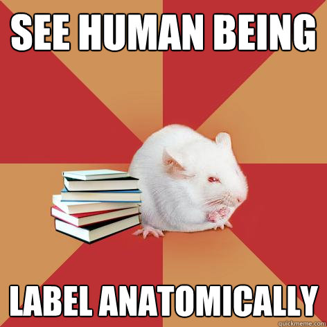 SEE HUMAN BEING LABEL ANATOMICALLY - SEE HUMAN BEING LABEL ANATOMICALLY  Science Major Mouse