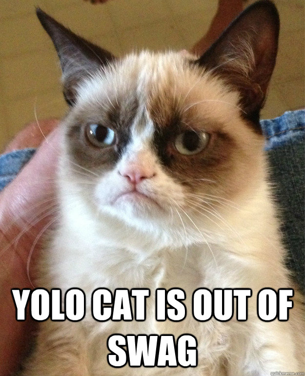  YOLO cat is out of swag  Grumpy Cat