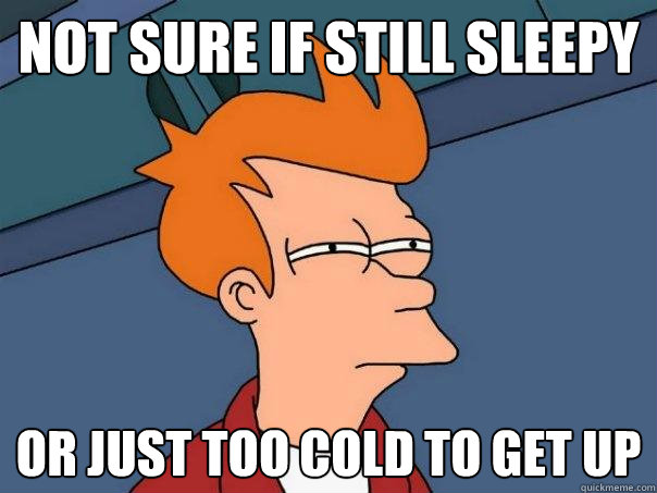 Not sure if still sleepy Or just too cold to get up - Not sure if still sleepy Or just too cold to get up  Futurama Fry