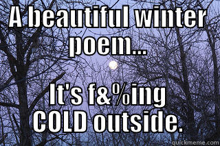 A Winter Poem - A BEAUTIFUL WINTER POEM... IT'S F&%ING COLD OUTSIDE. Misc