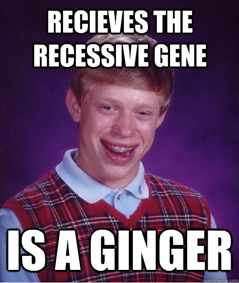 Recieves the recessive gene Is a ginger  Bad Luck Brian