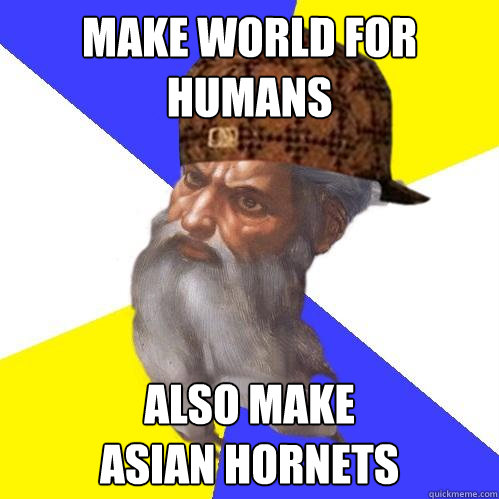 make world for humans also make
asian hornets  Scumbag Advice God
