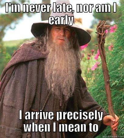 the lord of the rings meme - I'M NEVER LATE, NOR AM I EARLY I ARRIVE PRECISELY WHEN I MEAN TO Misc