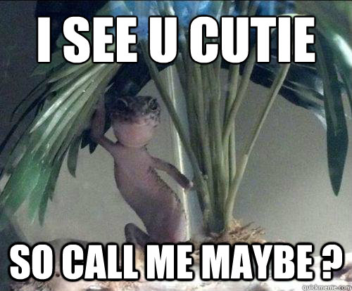 i see u cutie so call me maybe ?  