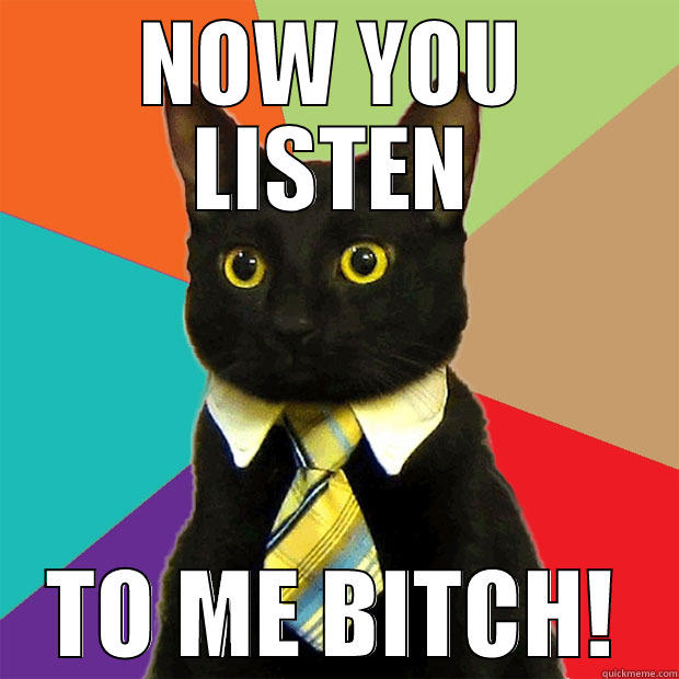 NOW YOU LISTEN TO ME BITCH! Business Cat