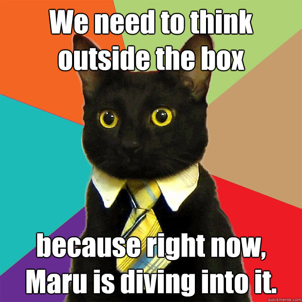 We need to think outside the box because right now, Maru is diving into it.  Business Cat