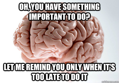 OH, YOU HAVE SOMETHING IMPORTANT TO DO? LET ME REMIND YOU ONLY WHEN IT'S TOO LATE TO DO IT  Scumbag Brain