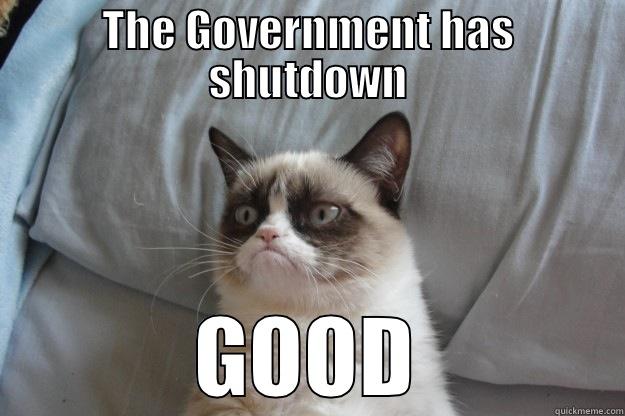 the government has shutdown - THE GOVERNMENT HAS SHUTDOWN GOOD Grumpy Cat