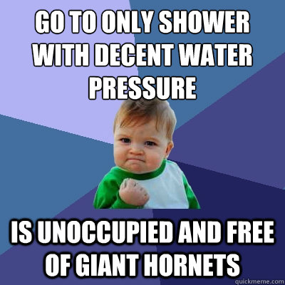 go to only shower with decent water pressure is unoccupied and free of giant hornets  Success Kid