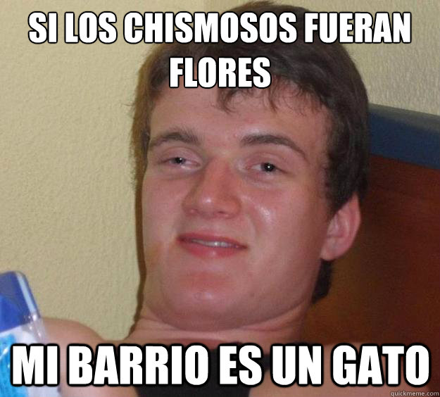 si los chismosos fueran flores 
 mi barrio es un gato  10 Guy