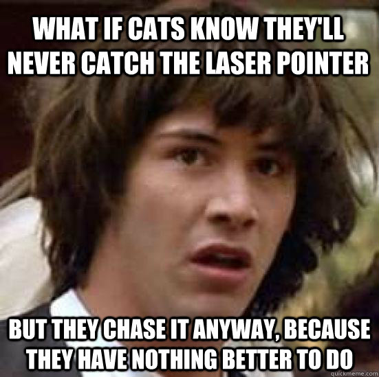 what if cats know they'll never catch the laser pointer but they chase it anyway, because they have nothing better to do   conspiracy keanu