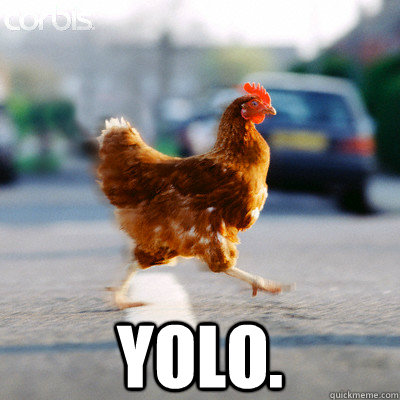  YOLO. -  YOLO.  Why did the chicken cross the road