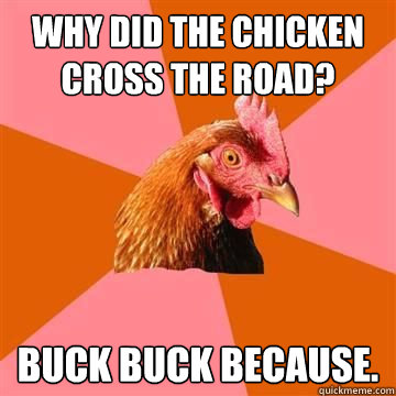 why did the chicken cross the road? buck buck because.  Anti-Joke Chicken