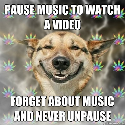 Pause music to watch a video forget about music and never unpause  Stoner Dog