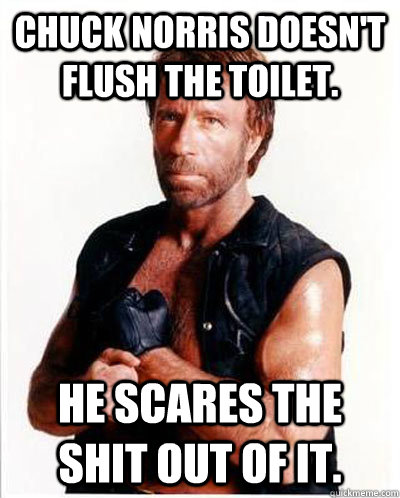 Chuck Norris doesn't flush the toilet.  He scares the shit out of it.  