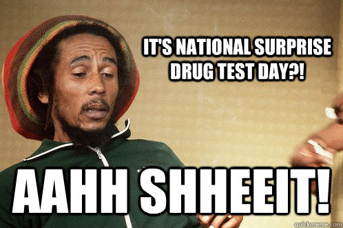 it's national surprise drug test day?! aahh shheeit!  Happy 421