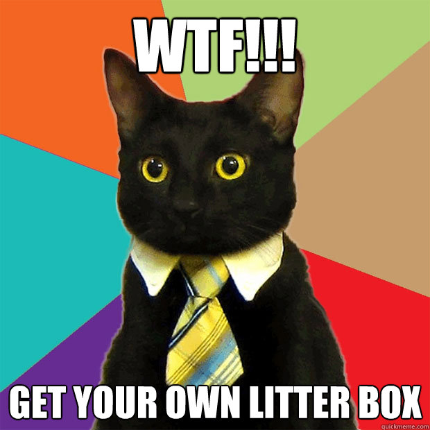 WTF!!! Get your own litter box  Business Cat