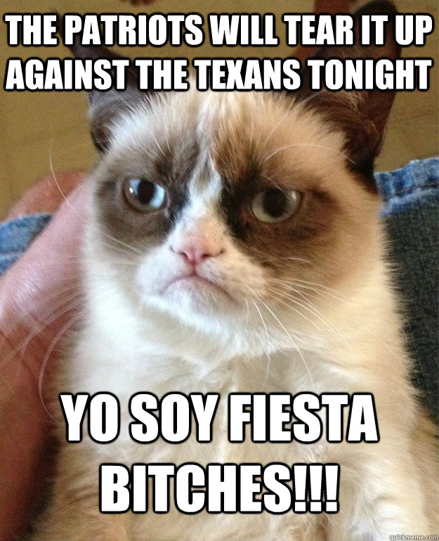 THe Patriots will tear it up against the Texans tonight Yo Soy Fiesta Bitches!!!   Grumpy Cat