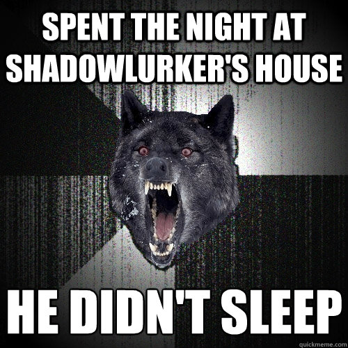 Spent the night at shadowlurker's house he didn't sleep
  Insanity Wolf