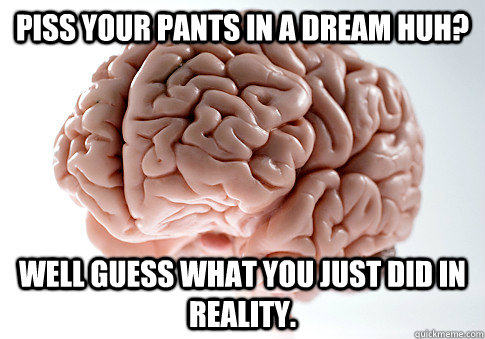 Piss your pants in a dream huh? Well guess what you just did in reality.  Scumbag Brain