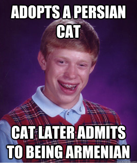 adopts a persian cat cat later admits to being armenian  Bad Luck Brian