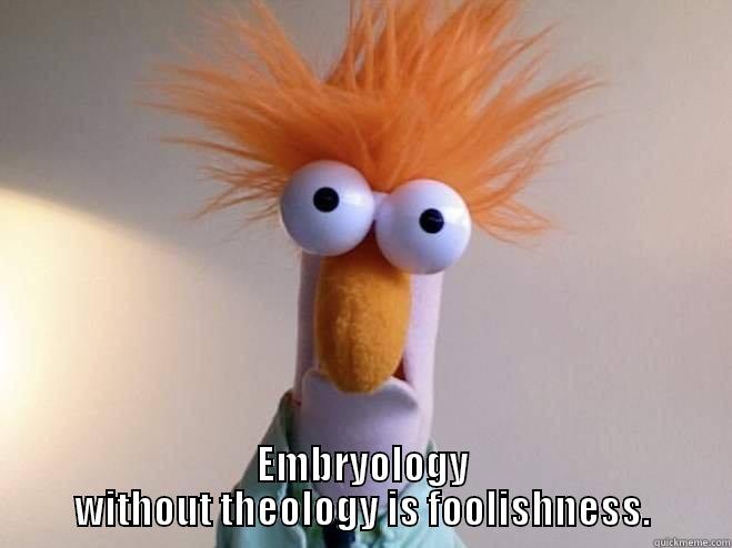 This Guy -  EMBRYOLOGY WITHOUT THEOLOGY IS FOOLISHNESS. Misc