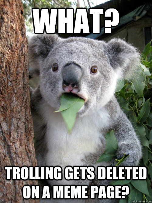 What? Trolling gets deleted on a meme page?  Surprised Koala