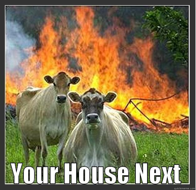                    YOUR HOUSE NEXT   Evil cows