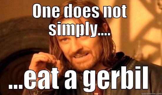 ONE DOES NOT SIMPLY.... ...EAT A GERBIL Boromir