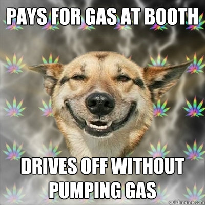 Pays for gas at booth Drives off without pumping gas  Stoner Dog