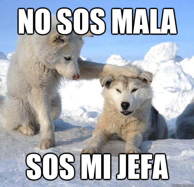 no sos mala sos mi jefa  Caring Husky