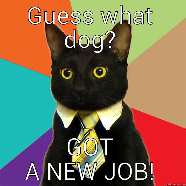 Ambitious Cat - GUESS WHAT DOG? GOT A NEW JOB! Business Cat