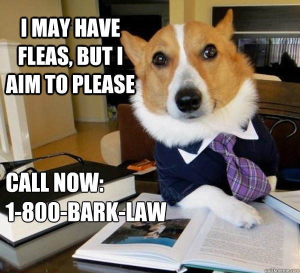 I may have fleas, but i aim to please call now:
1-800-bark-law - I may have fleas, but i aim to please call now:
1-800-bark-law  Lawyer Dog