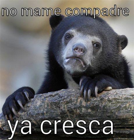 NO MAME COMPADRE  YA CRESCA  Confession Bear