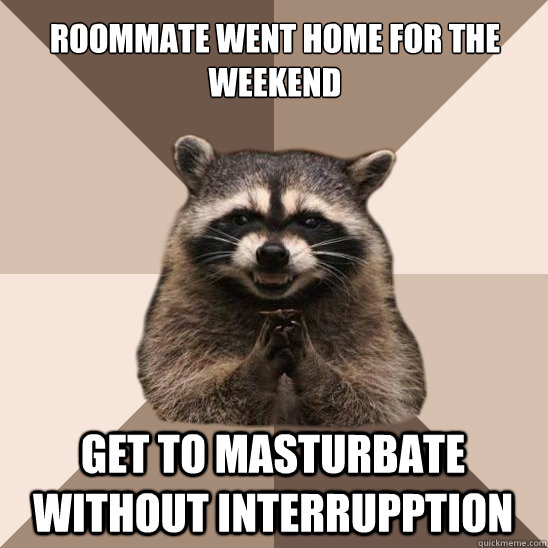 Roommate Went home for the weekend Get to masturbate without interrupption  - Roommate Went home for the weekend Get to masturbate without interrupption   Evil Plotting Raccoon