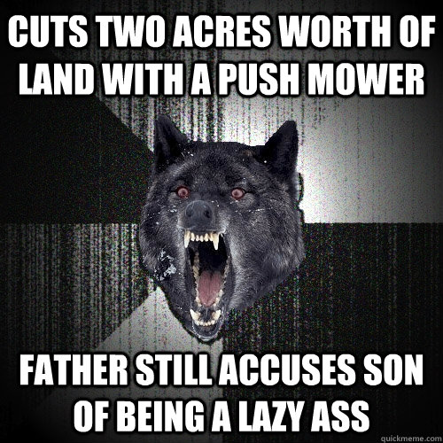 cuts two acres worth of land with a push mower father still accuses son of being a lazy ass  Insanity Wolf