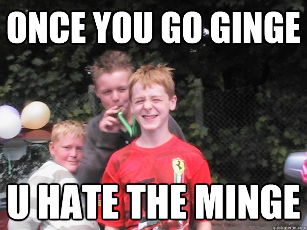 once you go ginge u hate the minge - once you go ginge u hate the minge  high school kids